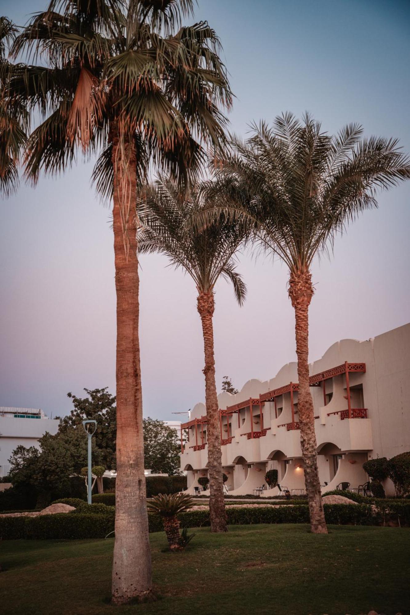 Resort Naama Bay Promenade Managed By Accor 5*